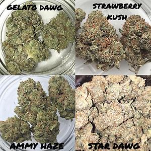 VARIETY PACK
