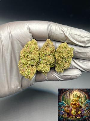HINDU KUSH