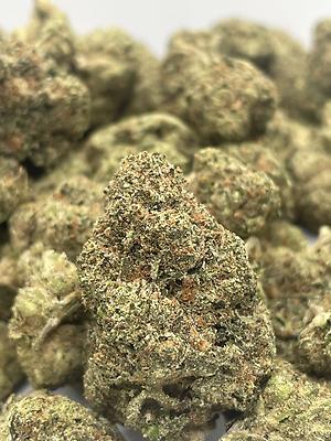 Rex's Mids