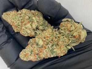 BLUE COOKIES