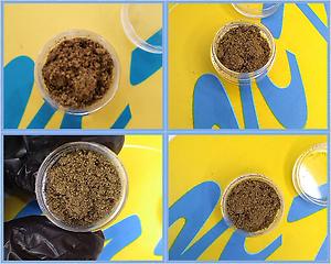 Moroccan Sift