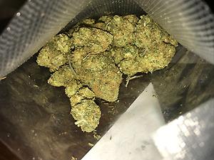Sour Z