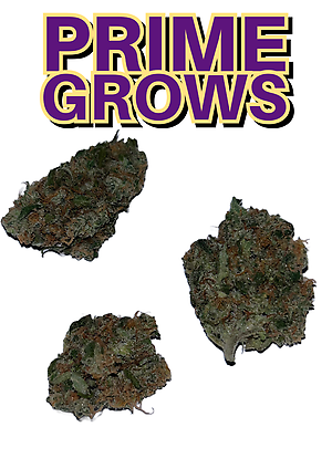 Prime Grows