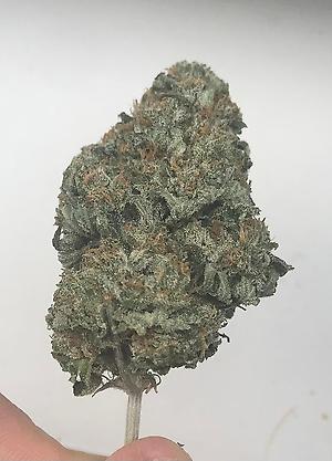 Girl scout cookies