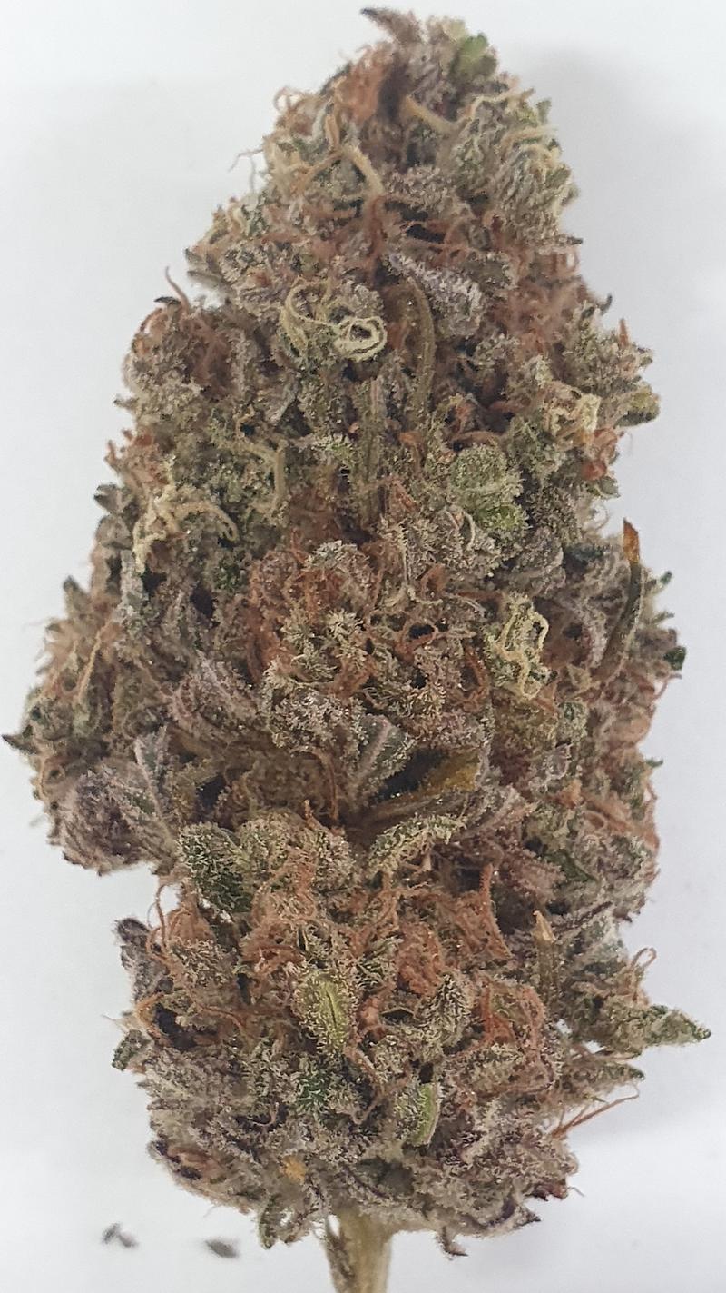 Hash Cake