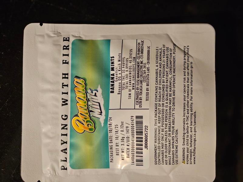 Jungle Boys Packs