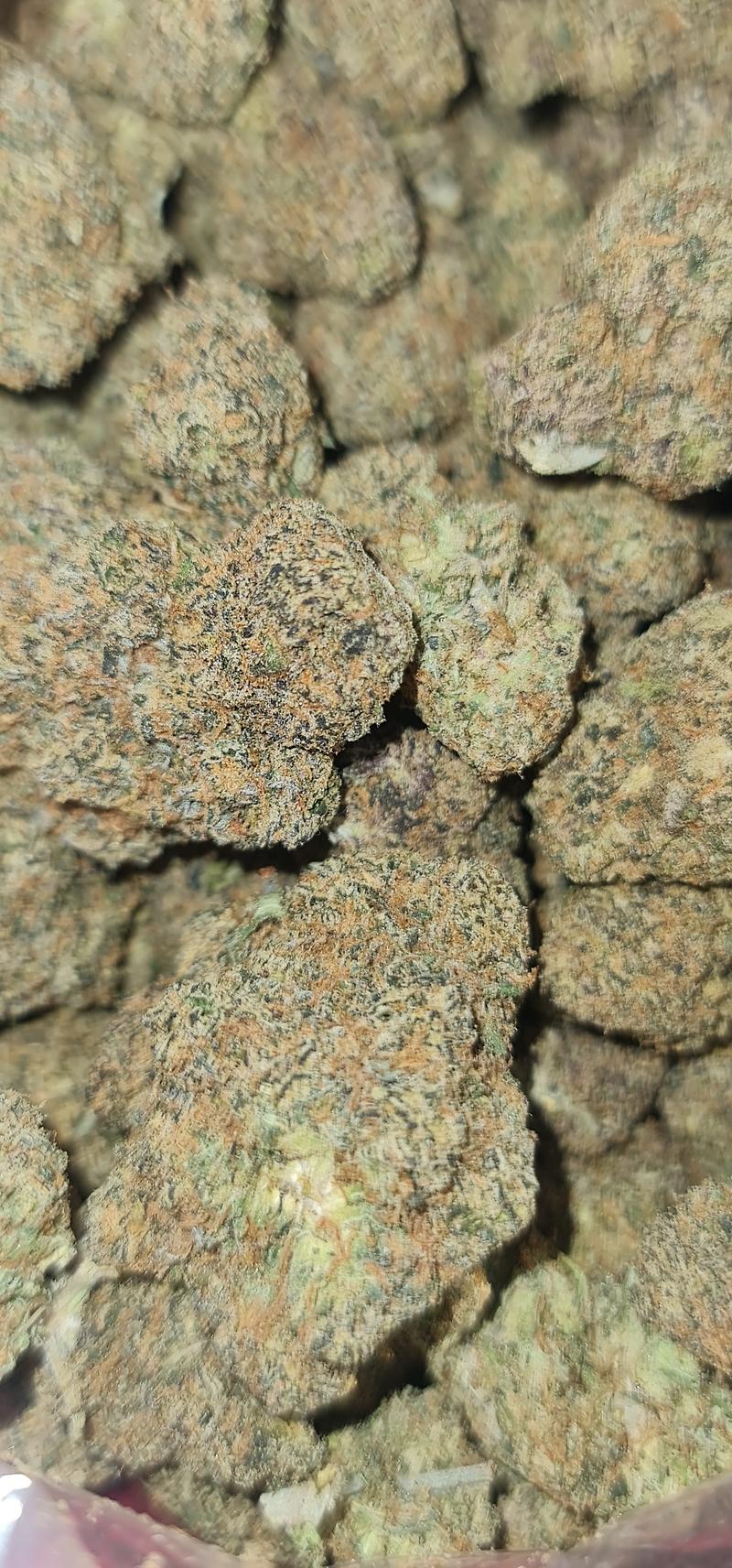 Biscott X Helium