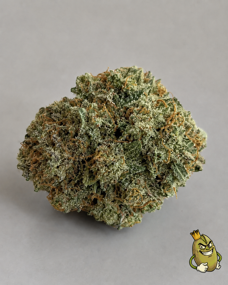 PEANUT BUTTER RUNTZ - TOPSHELF £125 AN OUNCE