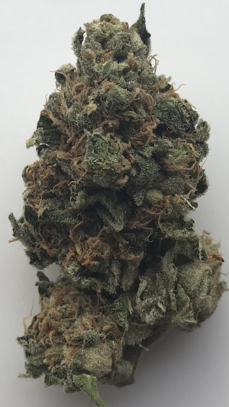 Pink alien