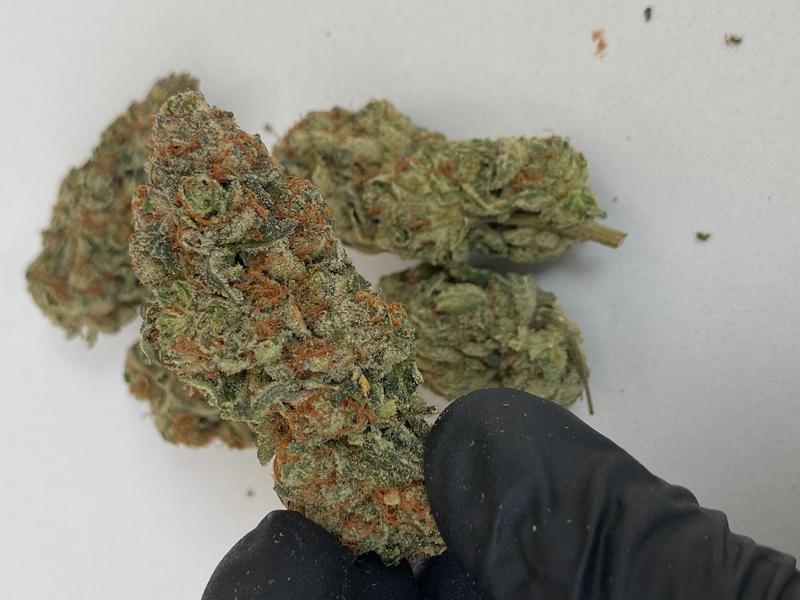 BLUE COOKIES
