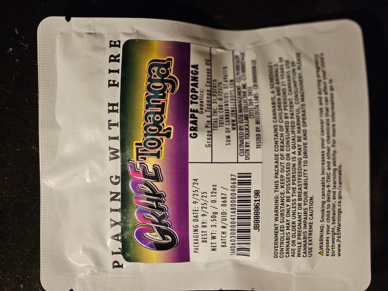 Jungle Boys Packs