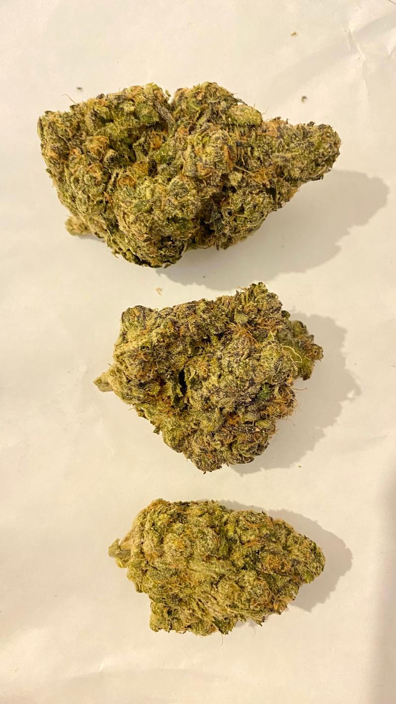 Dispensary Sealed Backdoor Cali Packs