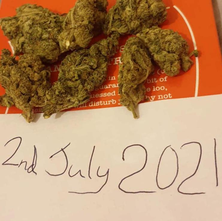Green Crack