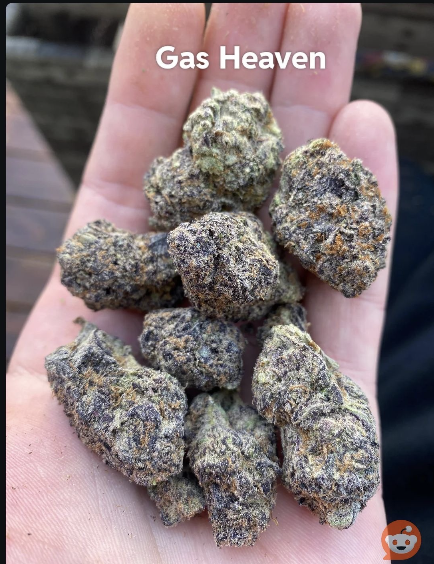 GAS HEAVEN