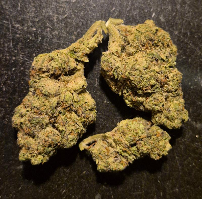 Mimosa Oz's