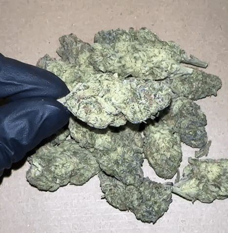 Mid Shelf Cali