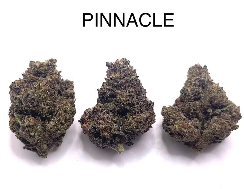 PINNACLE