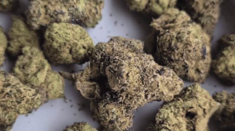 Weed world #Tops