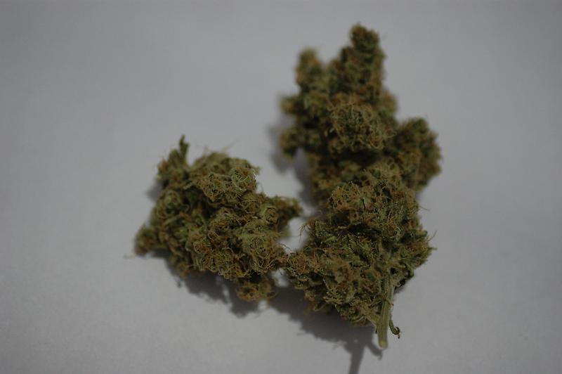 Master Kush