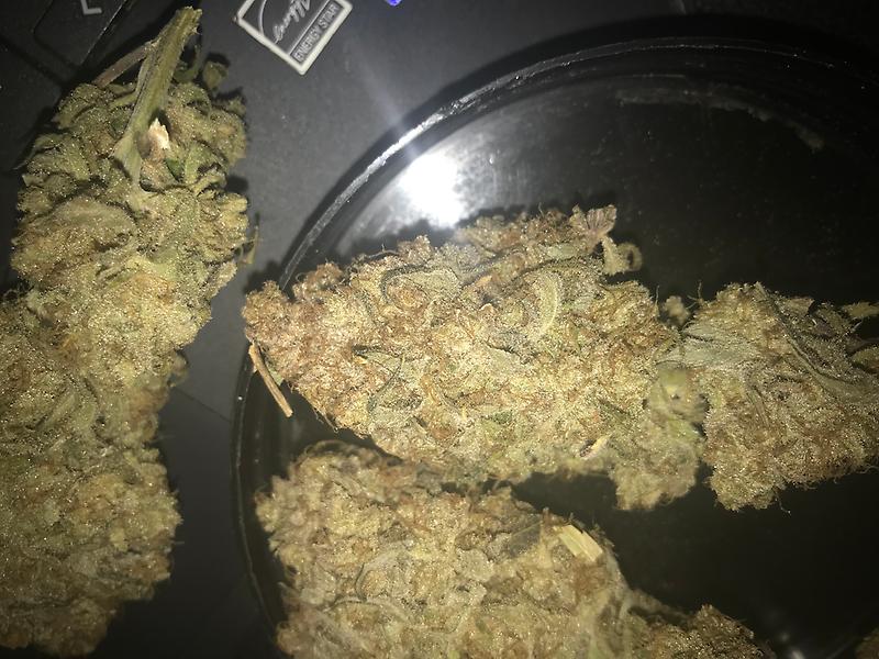Forbidden fruit