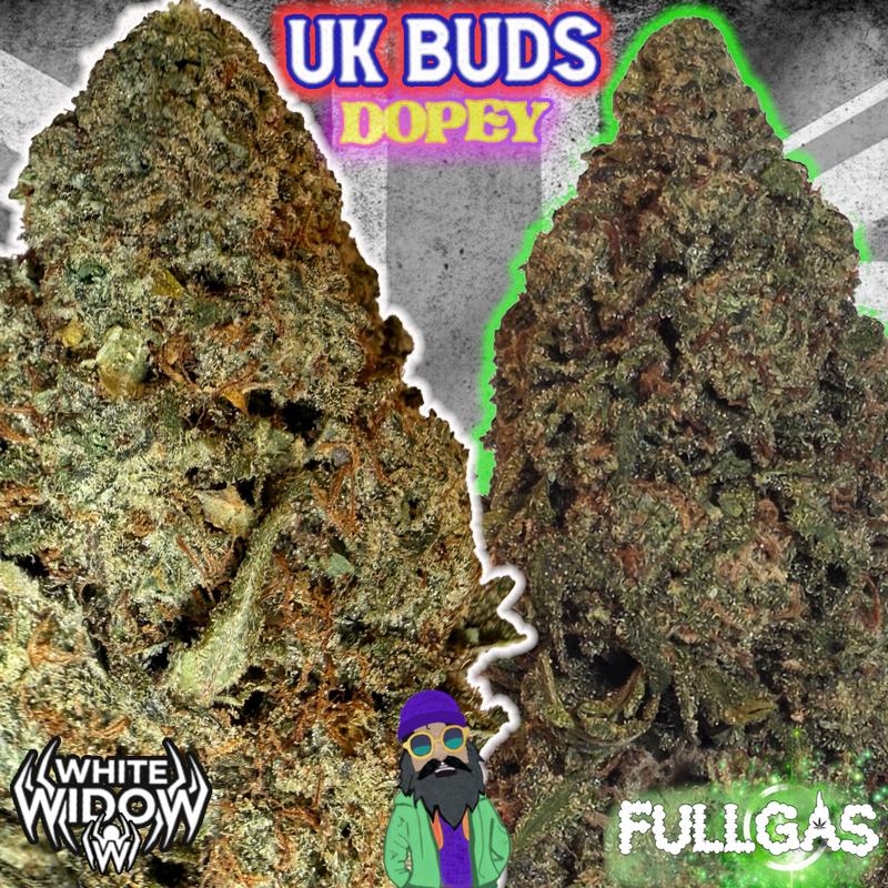 UK BUD'S