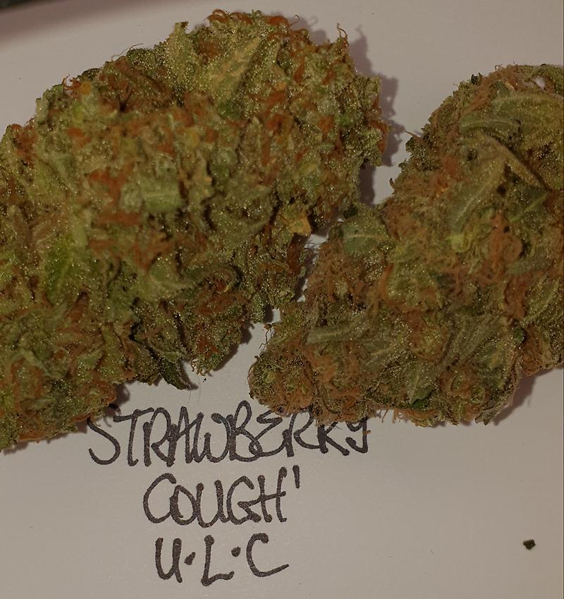 **STRAWBERRY COUGH - FREE RM 1ST CLASS DELIVERY**