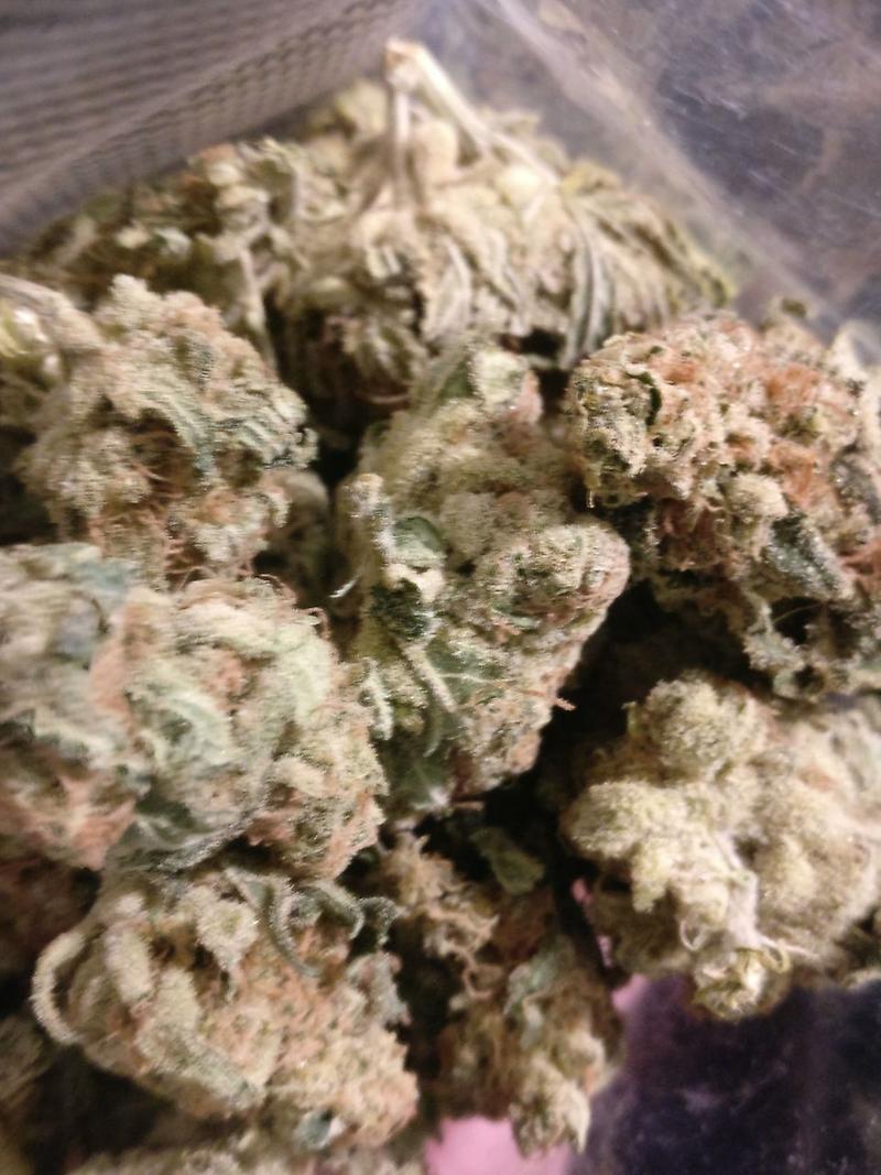 Critical Kush