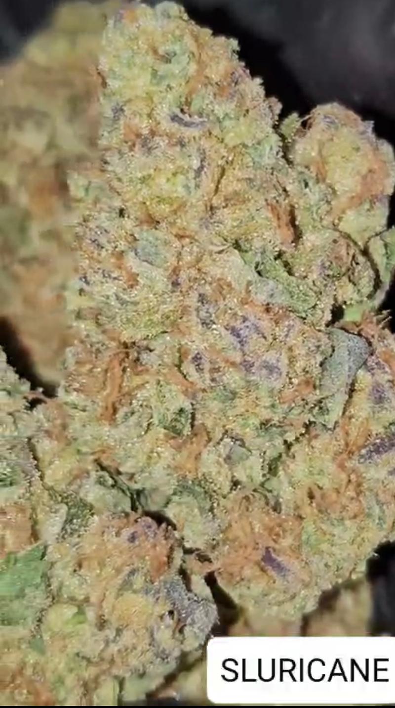 SLURRICANE (DOSI DOS X PURPLE PUNCH)