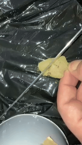 Moon Rocks 🌛🪨