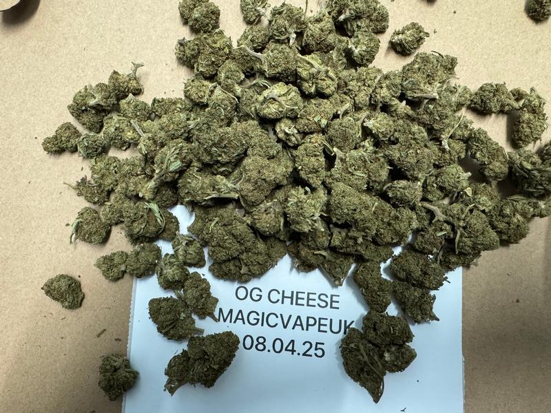 UK BUDS