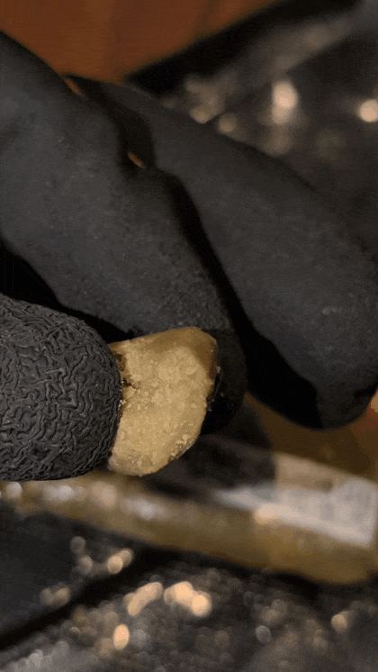 Static Hash