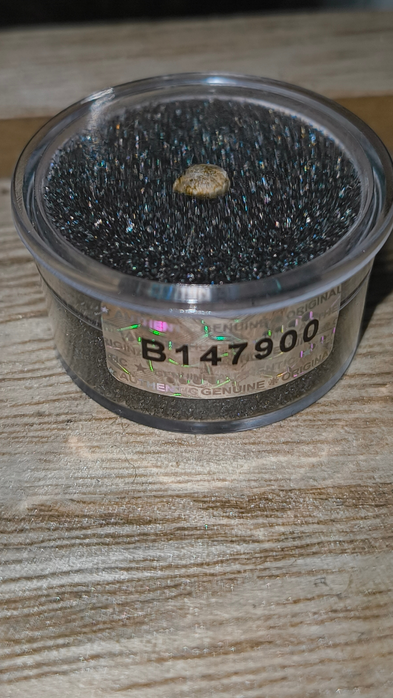 🔒🌱Vault-archive blind cuts🌱🔒 *limited seeds*
