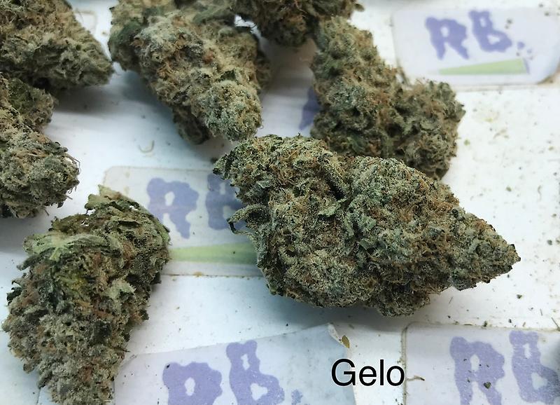 GELLO GELATO A+