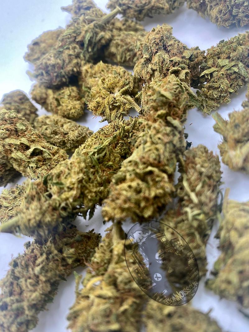 UK LEMON SKUNK