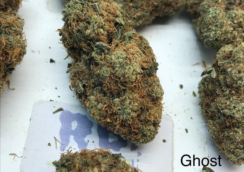 Ghost Dawg
