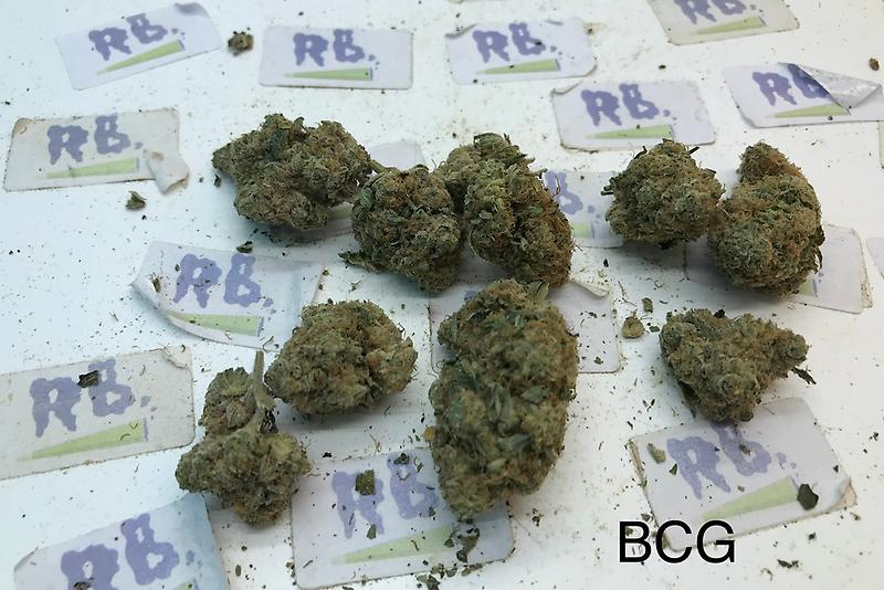 BLACK CHERRY GELATO