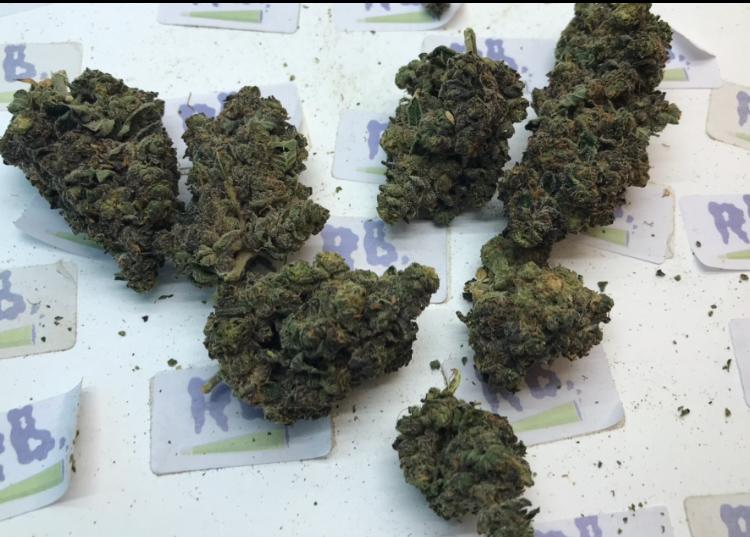 Z CUBE UK GROWN