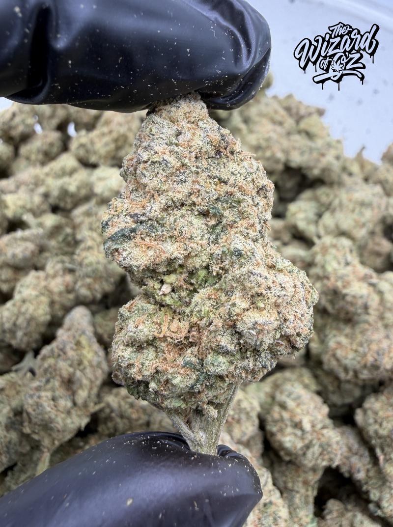 Sour Zkittlez