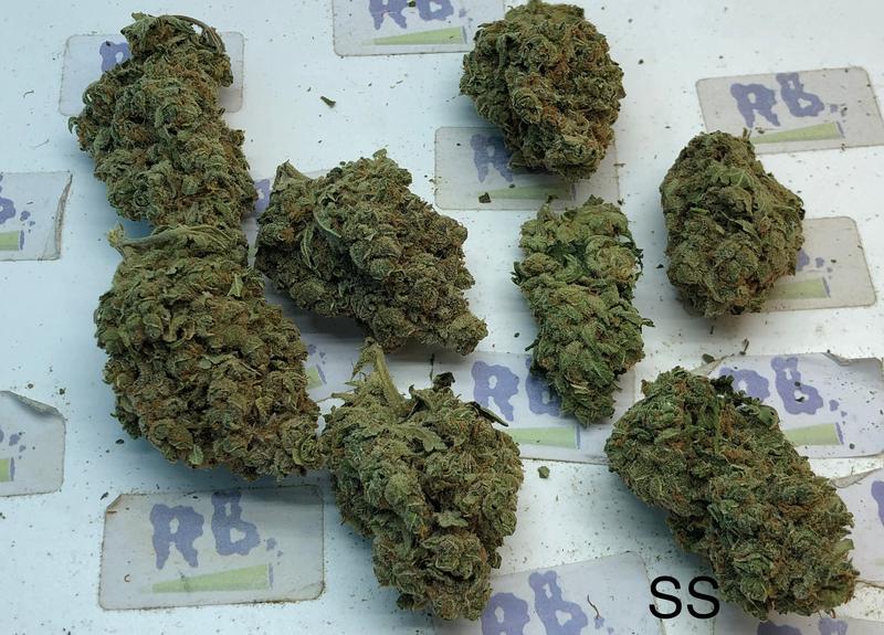 SUPER SILVER HAZE (DUTCH)