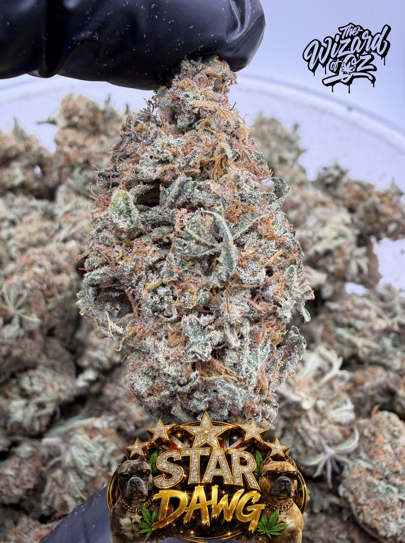 Star Dawg ⛽ 🌟