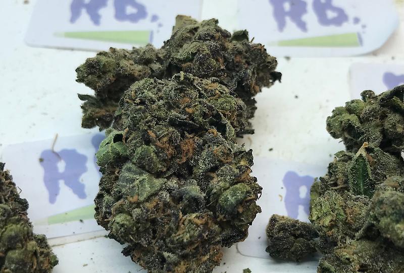 Z CUBE UK GROWN