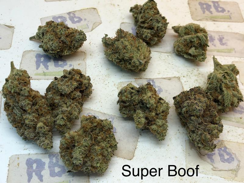 Super Boof
