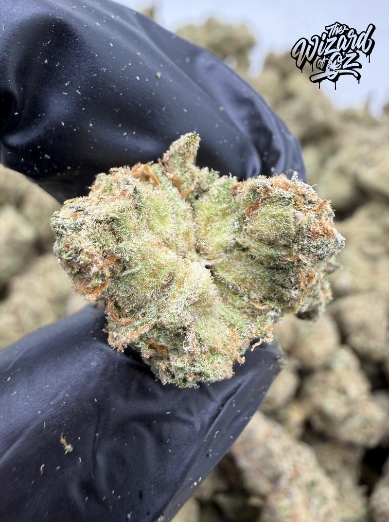 Sour Zkittlez
