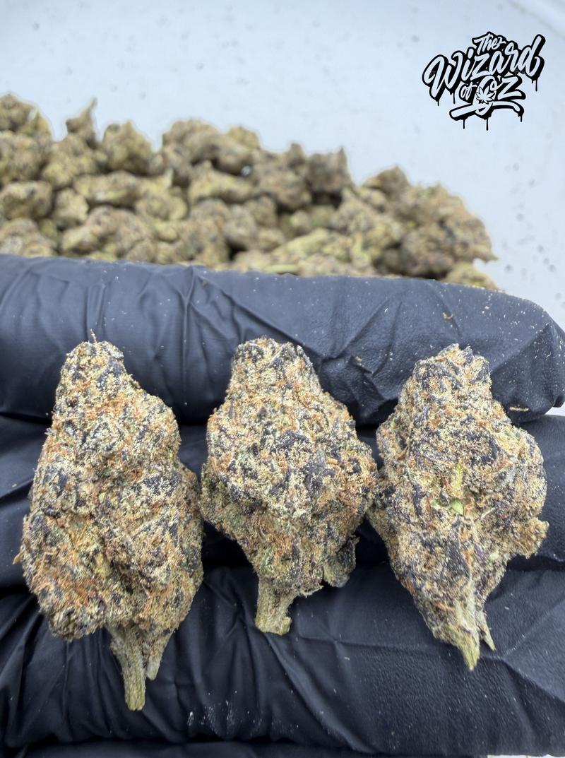 Gorilla Piss