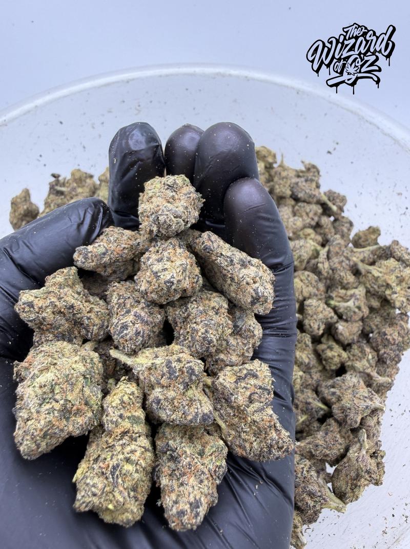 Gorilla Piss