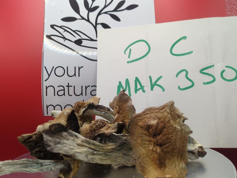 SHROOMS