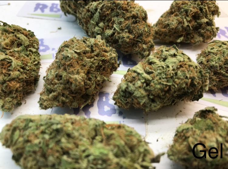 BLUE GELATO