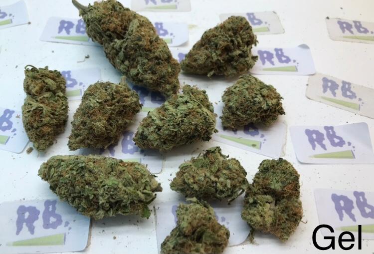 BLUE GELATO