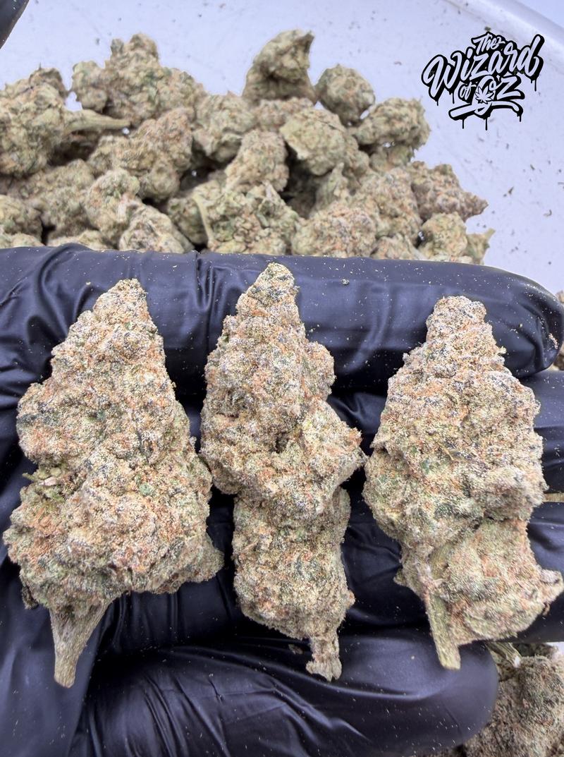 Sour Zkittlez