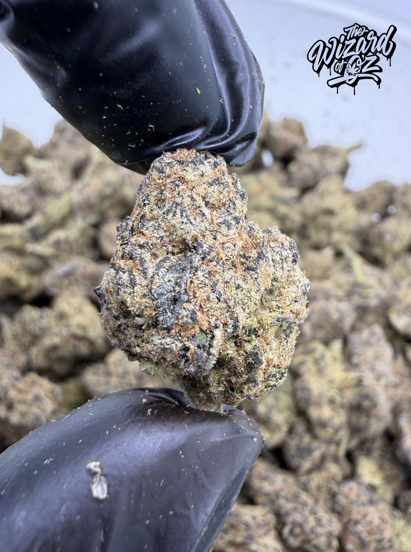Gorilla Piss